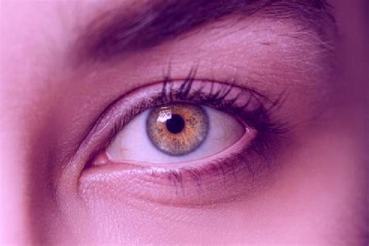 Abigail, 34, a black hazel-eyed mixed companion based in Abolikro. Offering Erotic Massage, Overnight, 69, Domination. Available for incall and outcall, over...