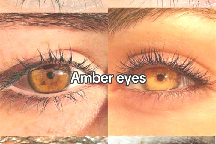 Abigail, 34, a chestnut amber-eyed mixed companion based in Upper Poppleton. Offering Prostate Massage, A-Level, Domination, BDSM. Available for incall and o...