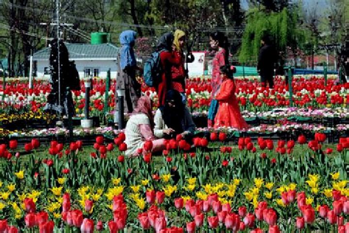 Abigail, 34 — Escort in Surkh Bilandi, Afghanistan