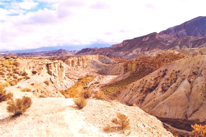 Abigail, 34 — Escort in Tabernas, Spain