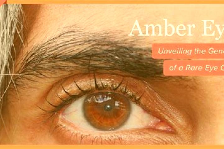 Abigail, 35, a black amber-eyed caucasian companion based in Lim. Offering OWO, Travel Companion, Deep French Kissing. Available for incall and outcall, over...