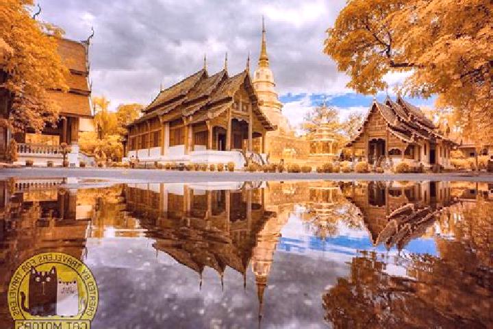 Abigail, 35 — Escort in Chom Phra, Thailand