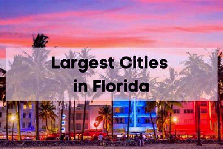 Abigail, 35 — Escort in Florida City, United States