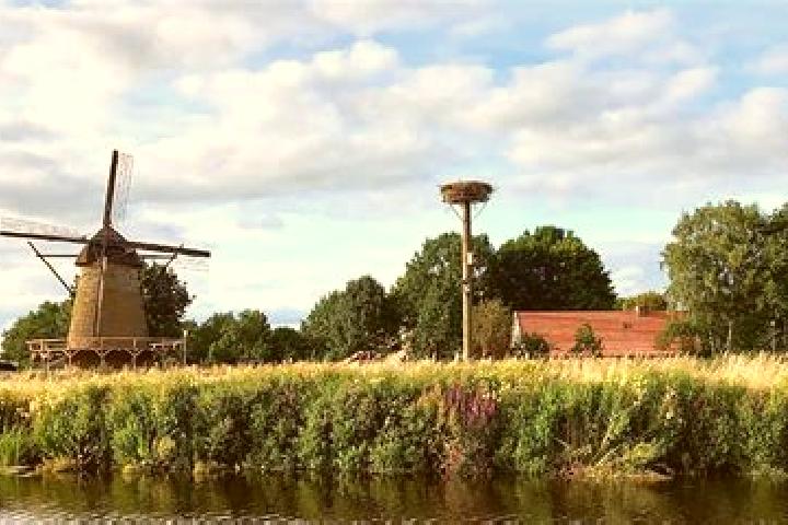 Abigail, 35 — Escort in Laar, Netherlands