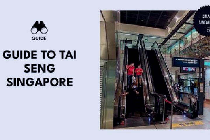 Abigail, 35 — Escort in Tai Seng, Singapore