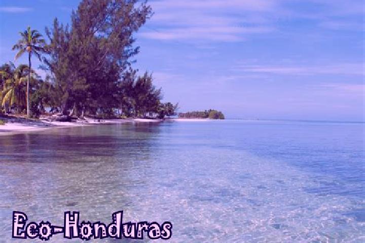 Abigail, 35 — Escort in Wawina, Honduras
