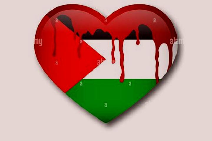 Abigail, 36 — Escort in Al Khadir, Palestine