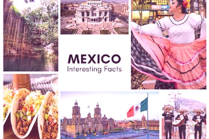 Abigail, 36 — Escort in Tlamanca, Mexico