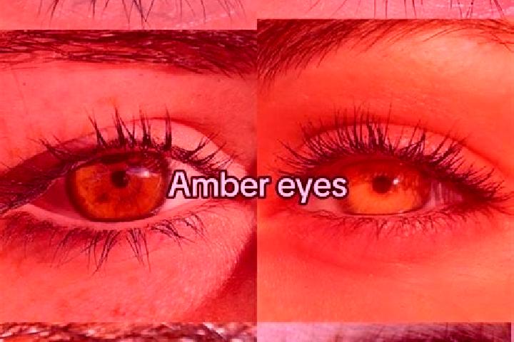 Abigail, 37, a brunette amber-eyed mediterranean companion based in Gilfach Goch. Offering Tantra, Duos, Massage, BDSM. Available for incall and outcall, ove...