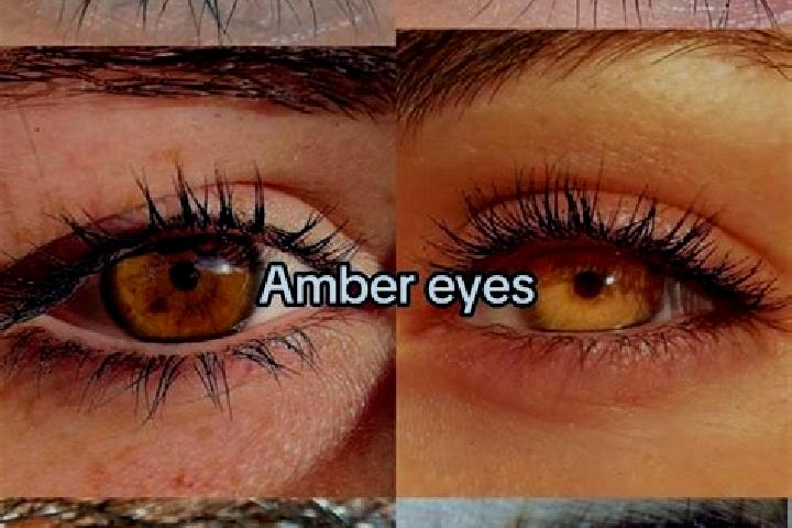 Abigail, 37, a chestnut amber-eyed caucasian companion based in Gravata. Offering Dinner Date, Party Girl, CIM, Couples, Domination. Available for incall and...