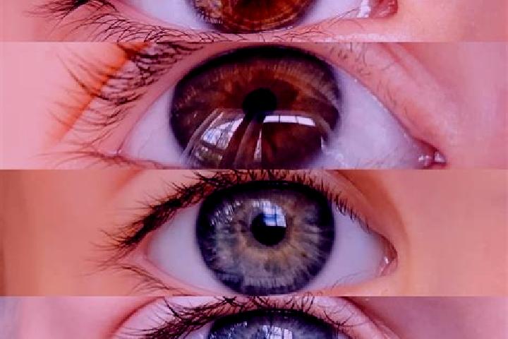 Abigail, 37, a chestnut hazel-eyed caucasian companion based in Porto Maua. Offering Travel Companion, Tantra. Available for incall and outcall, overnight bo...