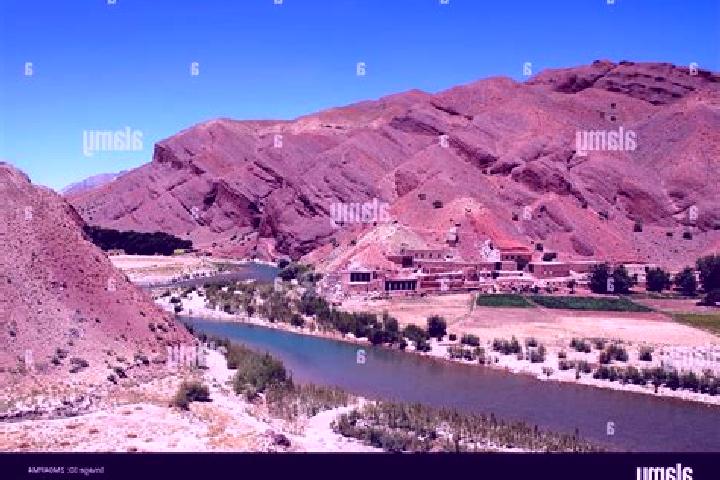 Abigail, 37 — Escort in Chisht-e Sharif, Afghanistan