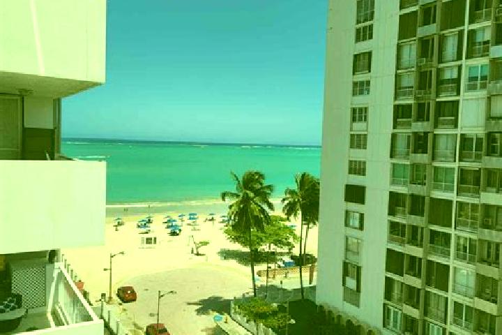 Abigail, 37 — Escort in Hato Arriba, Puerto Rico