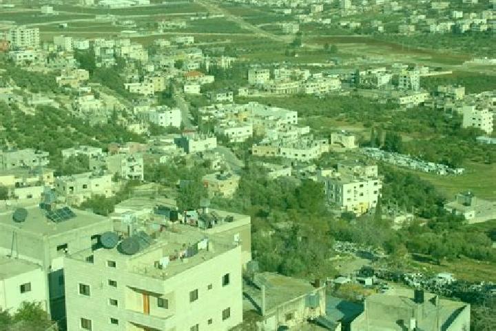 Abigail, 37 — Escort in Kafr Qallil, Palestine
