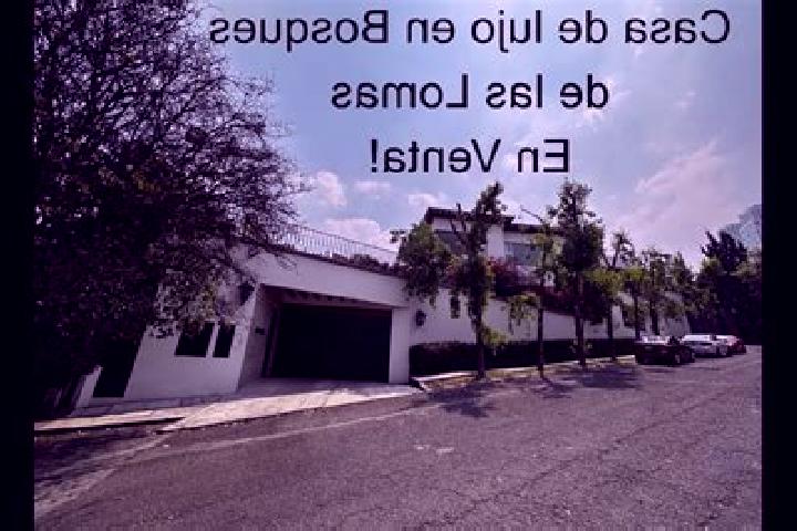 Abigail, 37 — Escort in Lomas de Santa Cruz, Mexico