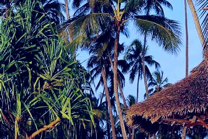 Abigail, 37 — Escort in Mazinde, Tanzania