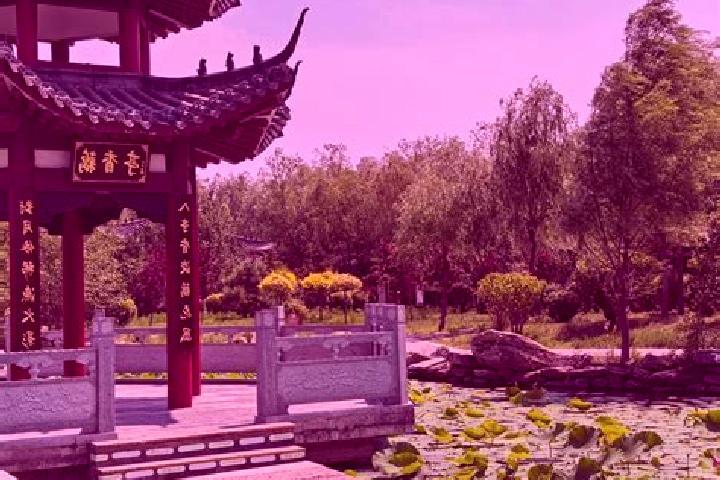 Abigail, 37 — Escort in Nenjiang, China