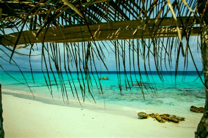 Abigail, 37 — Escort in Oranjestad, Bonaire