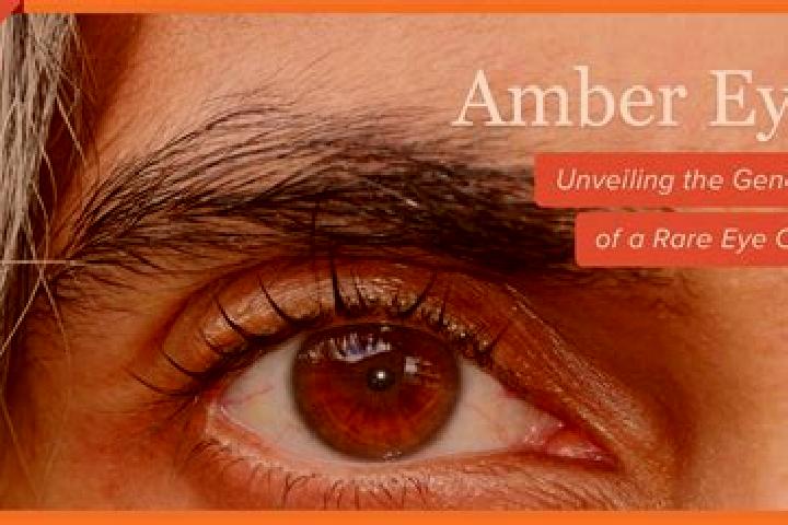 Abigail, 38, a black amber-eyed european companion based in Vernon Valley. Offering A-Level, BDSM, Deep French Kissing, Party Girl, Prostate Massage. Availab...