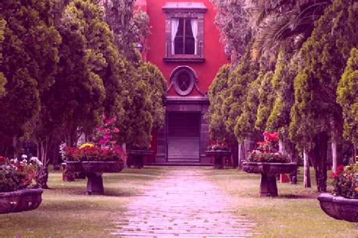 Abigail, 38 — Escort in Fraccionamiento Mision de San Javier, Mexico