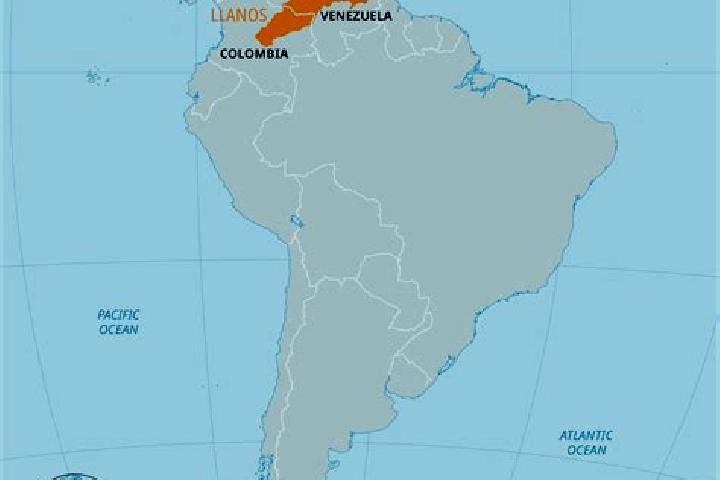 Abigail, 38 — Escort in Pueblo Llano, Venezuela