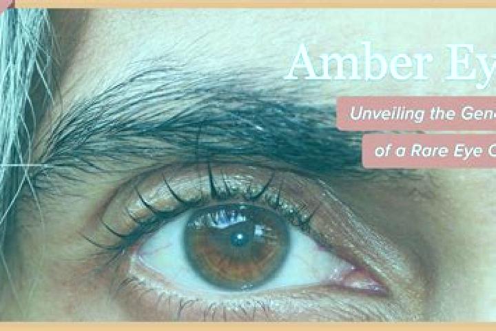 Abigail, 39, a black amber-eyed mediterranean companion based in Carjoaia. Offering BDSM, Roleplay, 69. Available for incall and outcall, day and evening dates.