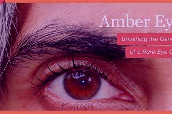Abigail, 39, a black amber-eyed mixed companion based in Schwertberg. Offering A-Level, BDSM, CIM. Available for incall and outcall, day and evening dates.