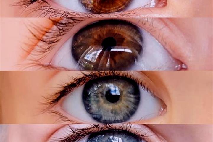 Abigail, 39, a chestnut hazel-eyed indian companion based in Lanpelan. Offering Overnight, Duos, Domination. Available for incall and outcall, day and evenin...
