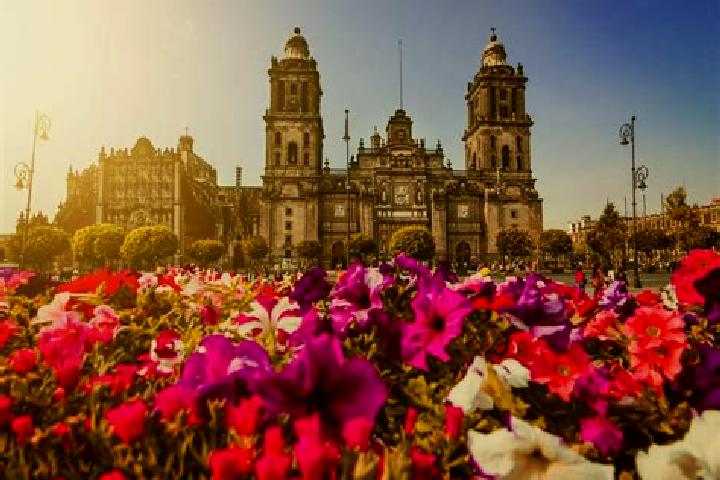 Abigail, 39 — Escort in Ciudad Morelos, Mexico