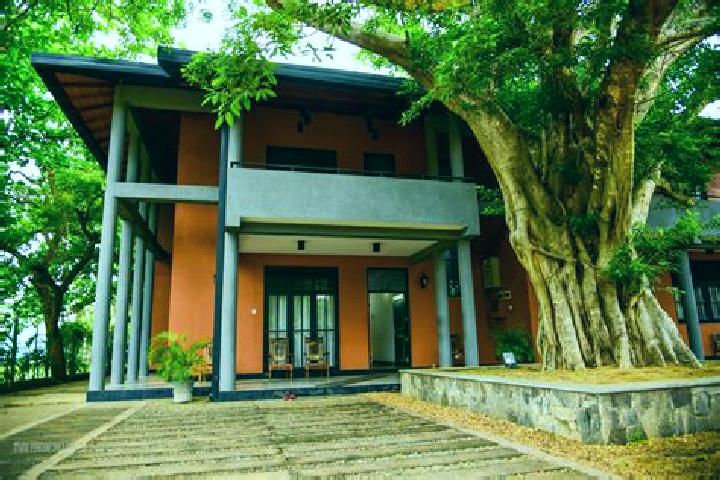 Abigail, 39 — Escort in Kataragama, Sri Lanka