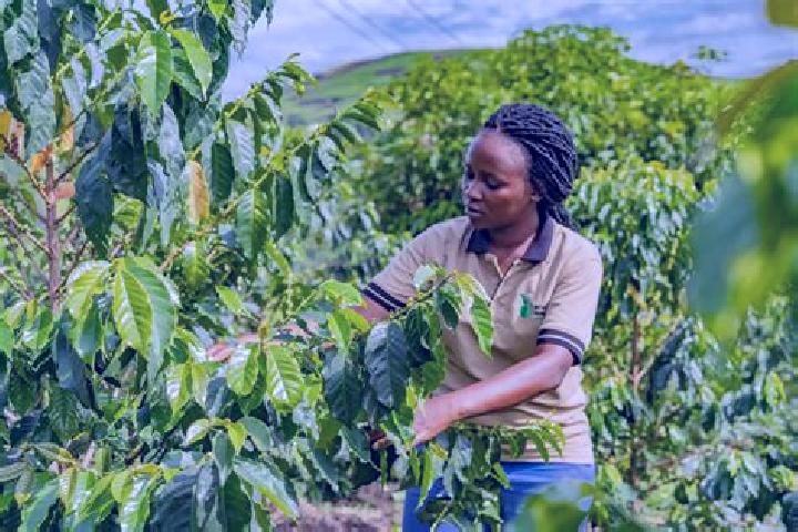 Abigail, 39 — Escort in Lyantonde, Uganda