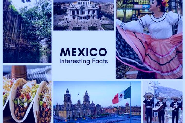 Abigail, 39 — Escort in Taniche, Mexico