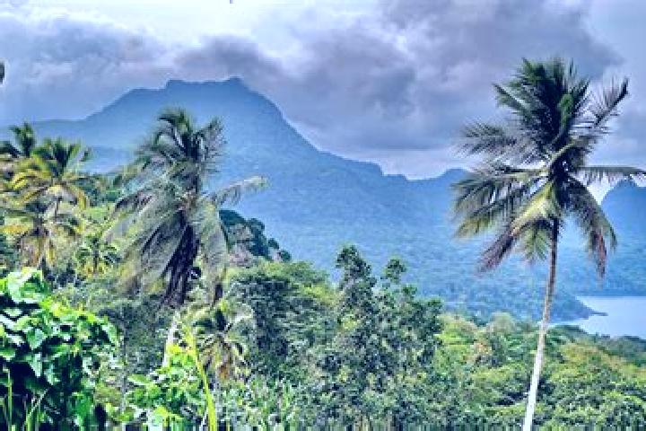 Abigail, 39 — Escort in Torres Dias, Sao Tome and Principe