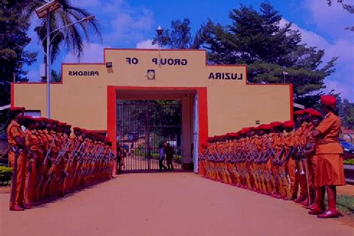 Addison, 20 — Escort in Bulambuli, Uganda