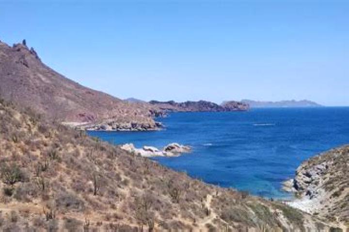 Addison, 20 — Escort in El Carricito, Mexico