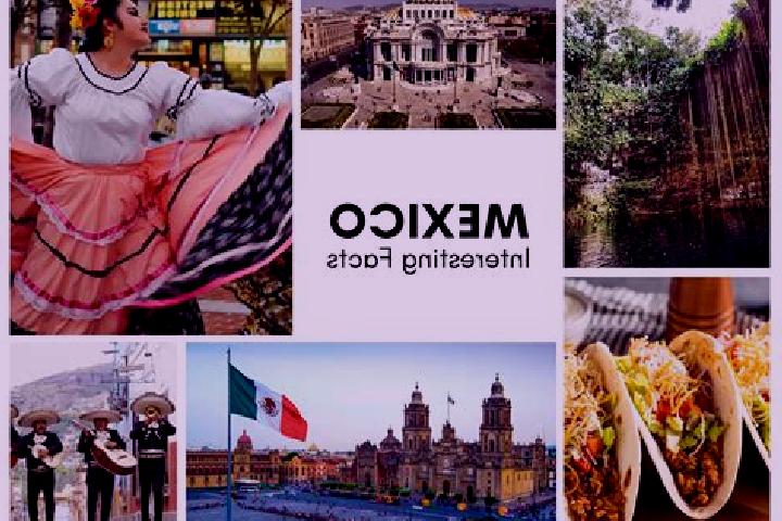 Addison, 20 — Escort in Quimichis, Mexico