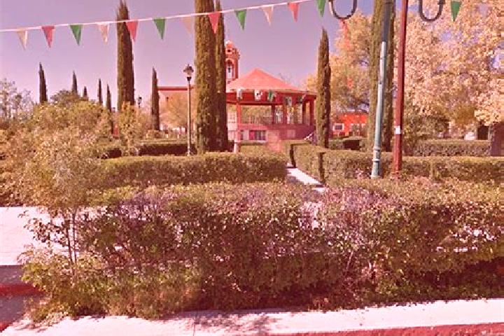 Addison, 20 — Escort in San Pedro del Gallo, Mexico