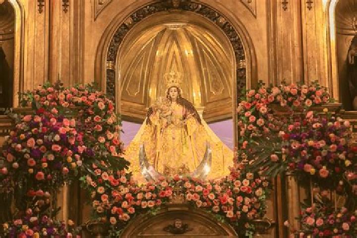 Addison, 20 — Escort in Santo Domingo de Guzman, Mexico