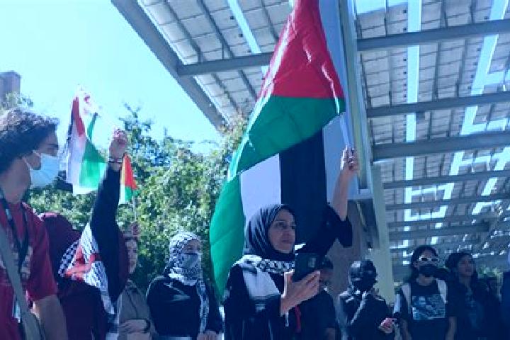 Addison, 21 — Escort in Az Zubaydat, Palestine