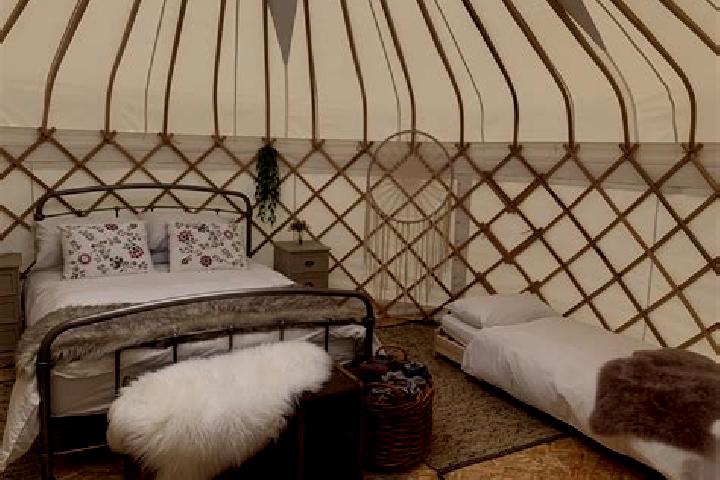 Addison, 21 — Escort in Elin-Yurt, Russia