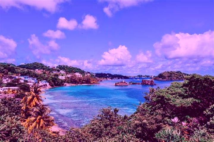 Addison, 21 — Escort in Gomea, Saint Vincent and the Grenadines