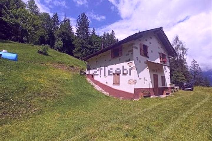 Addison, 21 — Escort in Laggio di Cadore, Italy