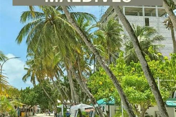 Addison, 21 — Escort in Maafushi, Maldives