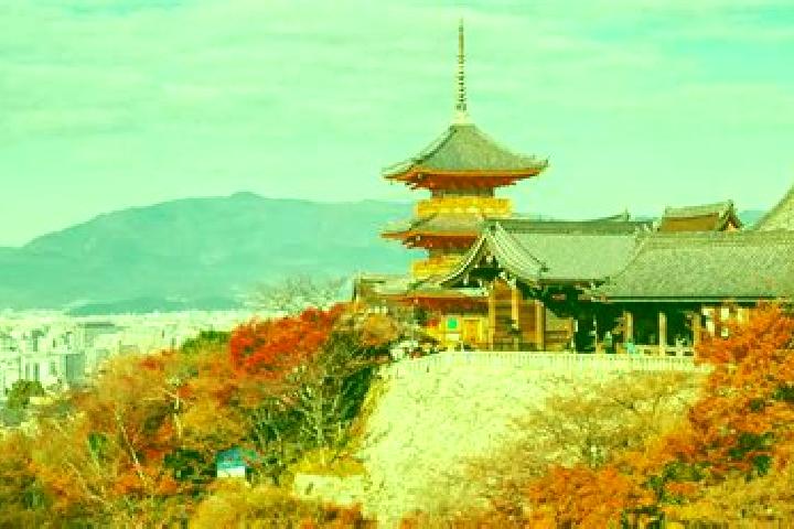 Addison, 21 — Escort in Otawara, Japan