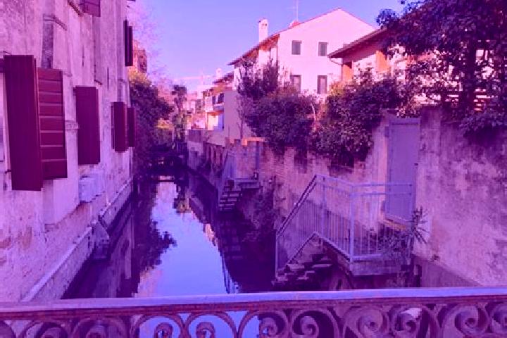 Addison, 21 — Escort in Portogruaro, Italy