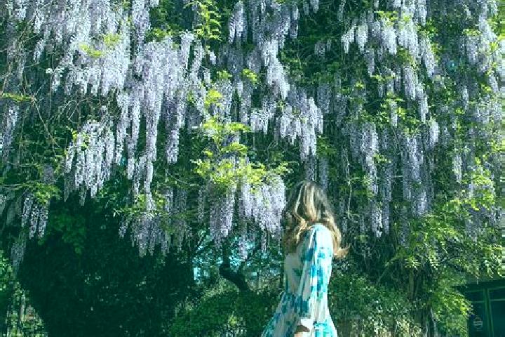 Addison, 21 — Escort in Schitu Scoicesti, Romania