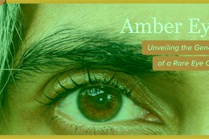 Addison, 22, a black amber-eyed european companion based in Juarez Tavora. Offering Dinner Date, Erotic Massage, Couples, CIM. Available for incall and outca...