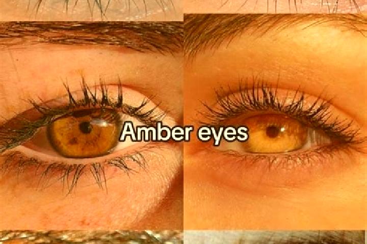 Addison, 22, a brunette amber-eyed mixed companion based in Passaic. Offering Couples, CIM, Striptease, Erotic Massage, Girlfriend Experience. Available for ...
