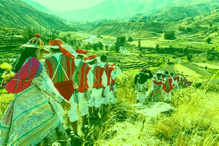 Addison, 22 — Escort in Caylloma, Peru