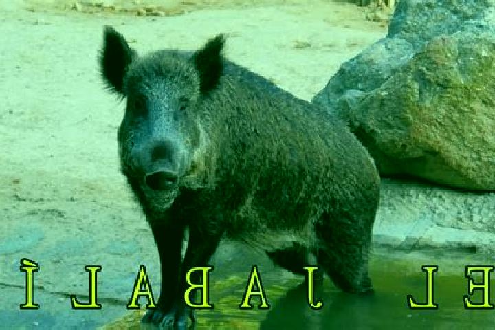 Addison, 22 — Escort in El Jabali, Mexico